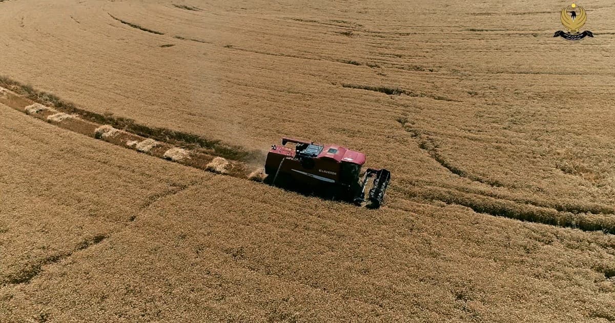 حکومەتی هەرێمی کوردستان ئاسایشی خۆراک بەهێز دەکات بە فراوانکردنی پاڵپشتی عەمبارکردن و بازاڕکردنی گەنم